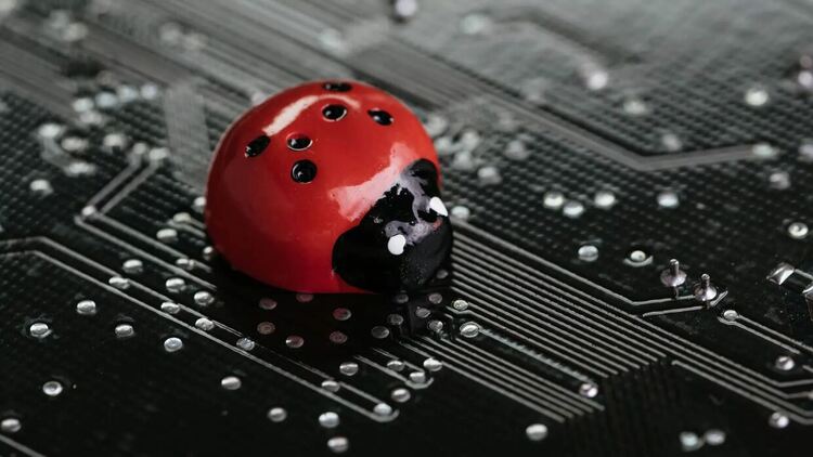 Единадесетокласник от Варна контролира качеството на софтуера на голяма банка