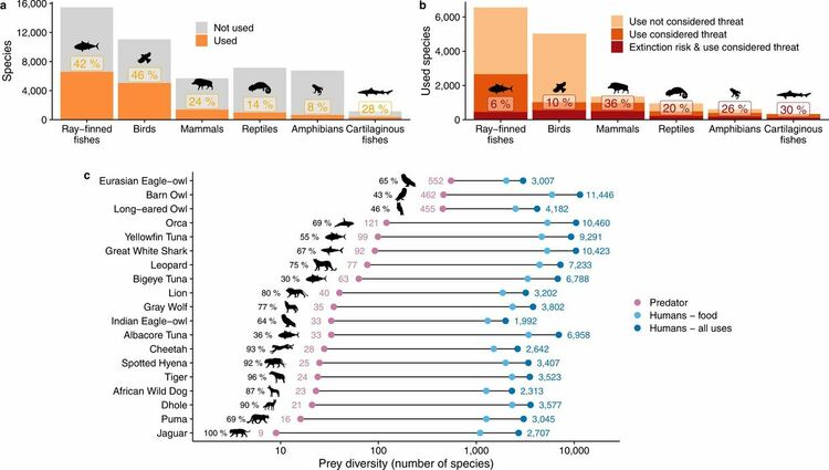 Върховният хищник: Хората се хранят с една трета от съществуващите видове гръбначни животни