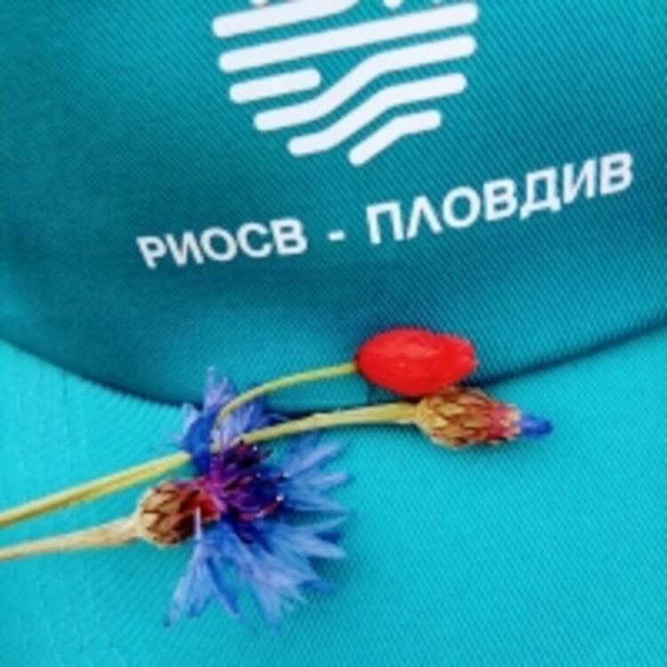 31 422 лева събра през юни РИОСВ-Пловдив от наложени глоби и санкции
