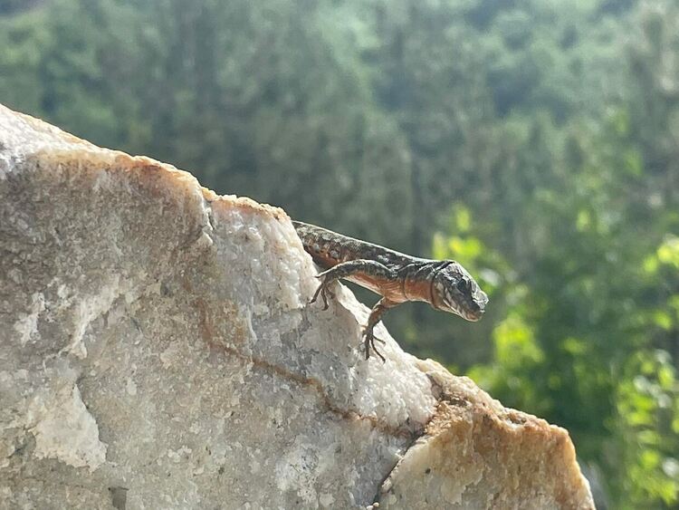 Слънчево, интензивни валежи с гръмотевици и градушки следобед