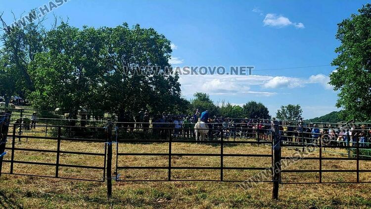 Демонстрираха яздене на коне и конна стрелба с лък