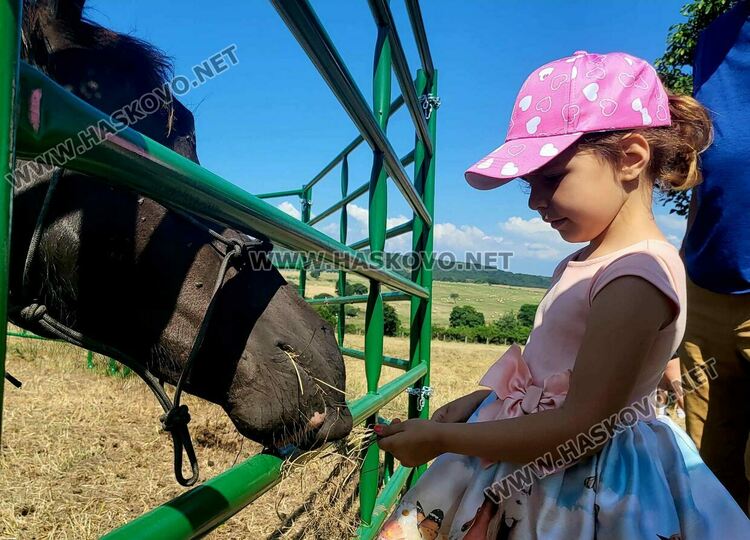 Демонстрираха яздене на коне и конна стрелба с лък