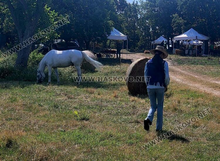 Демонстрираха яздене на коне и конна стрелба с лък