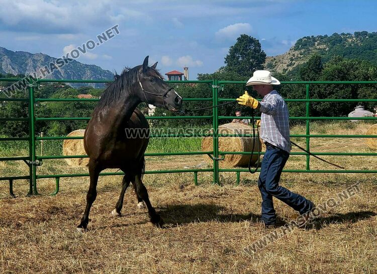 Демонстрираха яздене на коне и конна стрелба с лък