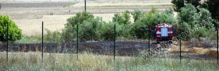 Пожар в боклуци подпали нива с пшеница край Добрич