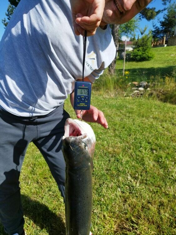  Уловиха гигантска пъстърва в яз.Доспат