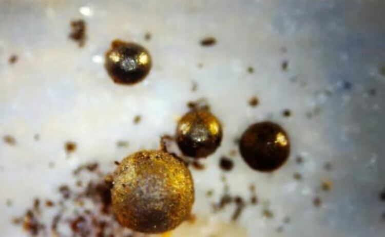 Няколко от "аномалните" метални сфери, извадени от Тихия океан през юни. Подобни предмети се срещат в изобилие и е почти невъзможно да бъдат проследени.