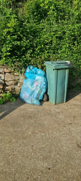 Еколози от Асеновград с акция край резерват "Червената стена"