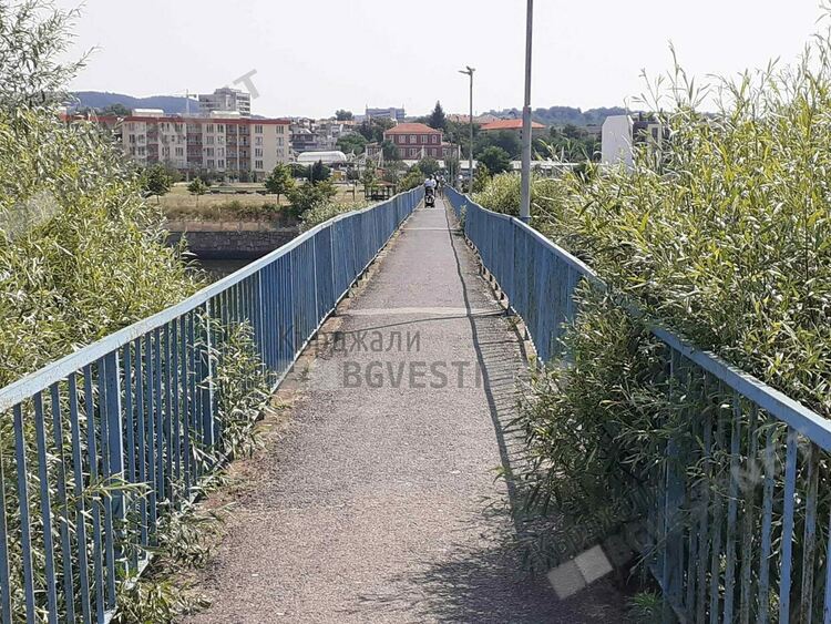 Буйната растителност във Водното огледало е на път да превземе пасарелката