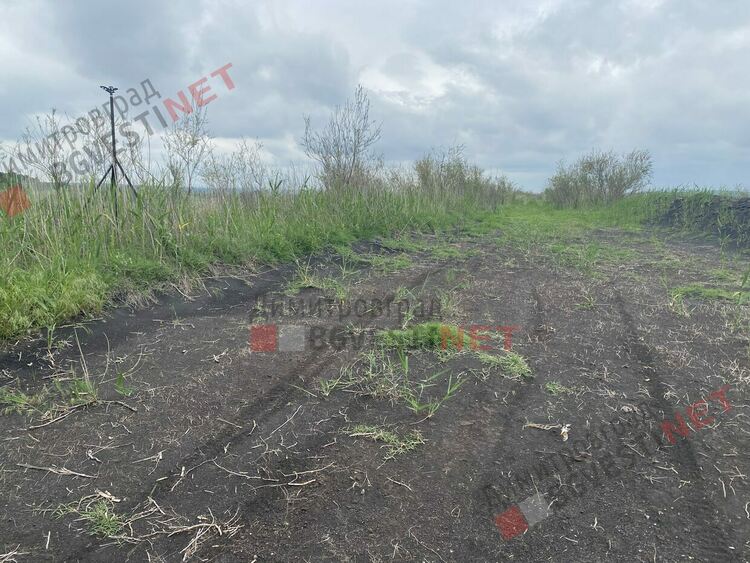 ВАС потвърди нарушение на ТЕЦ "Марица 3" - но къде си изхвърлят отпадъка, ще ги глобят ли с половин милион, пита бивш министър на околната среда