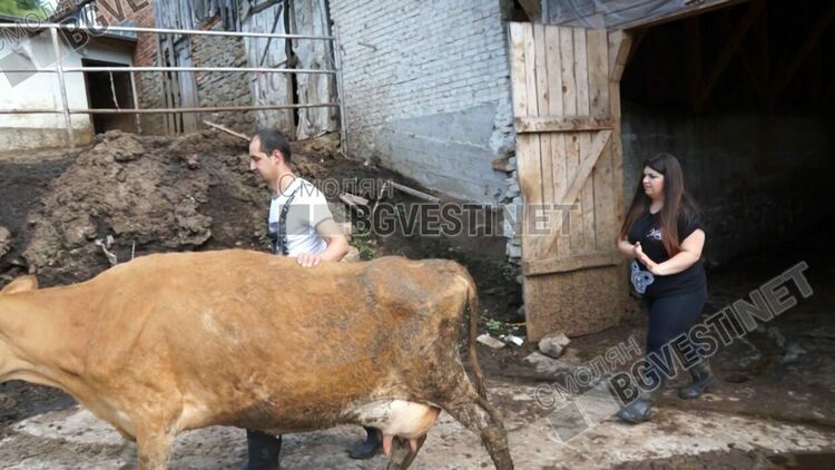 Тази вечер в „Истории извън новините“: Младото семейство със „старите души“ от Косово