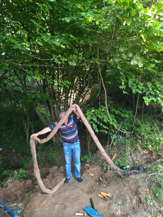 Водата потече отново от пресъхнали чешми край с. Орешник