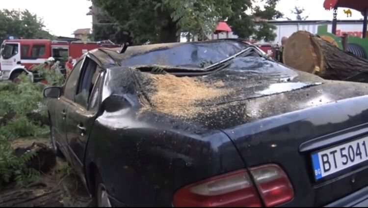 Кадри: „Сакар нюз“