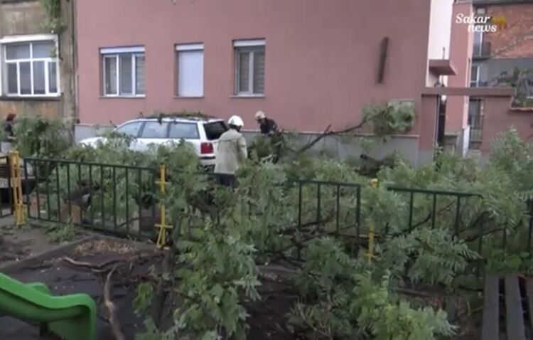 Буря в Харманли с паднали дървета и смачкани коли