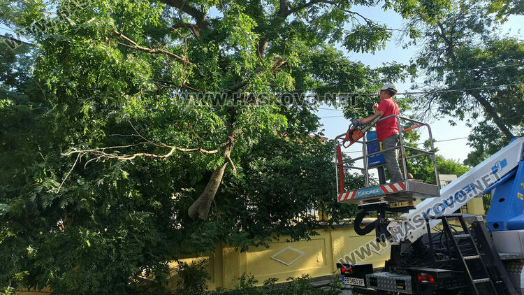 Възстановяват щетите след бурята в Харманли