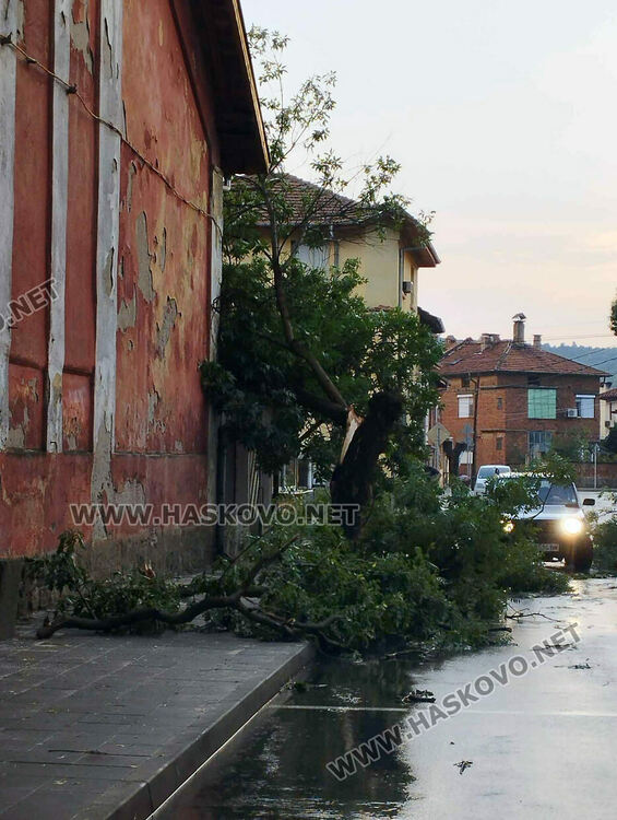 Възстановяват щетите след бурята в Харманли