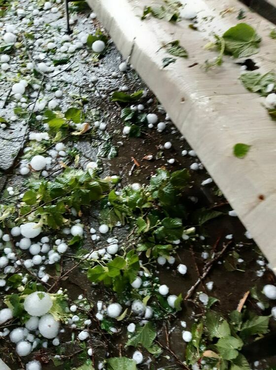 След стихията: Унищожена реколта,изпочупени коли и покриви, наводнени сгради