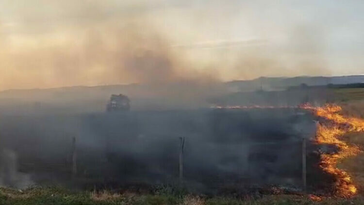 Голям пожар бушува край първомайското село Буково