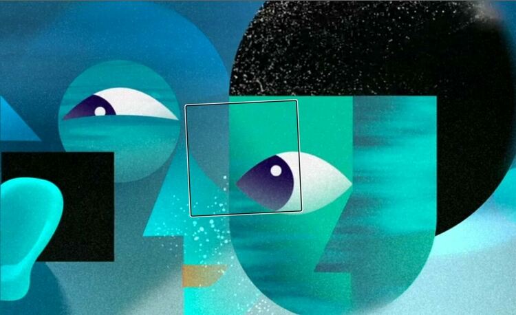 Кредит: The Perception Census