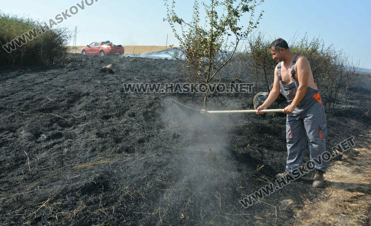 Голям пожар избухна край Сусам и Татарево, включиха се и пожарникари от Кърджалийско
