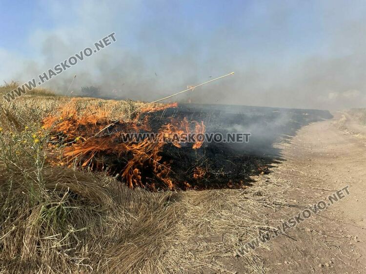 Голям пожар избухна край Сусам и Татарево, включиха се и пожарникари от Кърджалийско