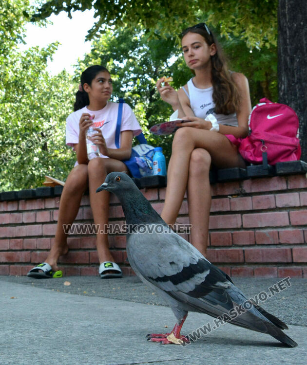 Хасково далеч от рекордните 43 градуса за 26 юли, но бурният вятър още носи опасност от пожари