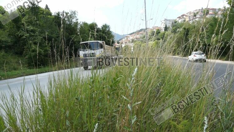 От полицията направиха предписание ОПУ и Община Смолян  да изрежат храсталаците по околовръстния път 