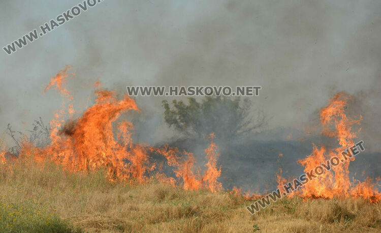Голям пожар избухна край Сусам и Татарево, включиха се и пожарникари от Кърджалийско