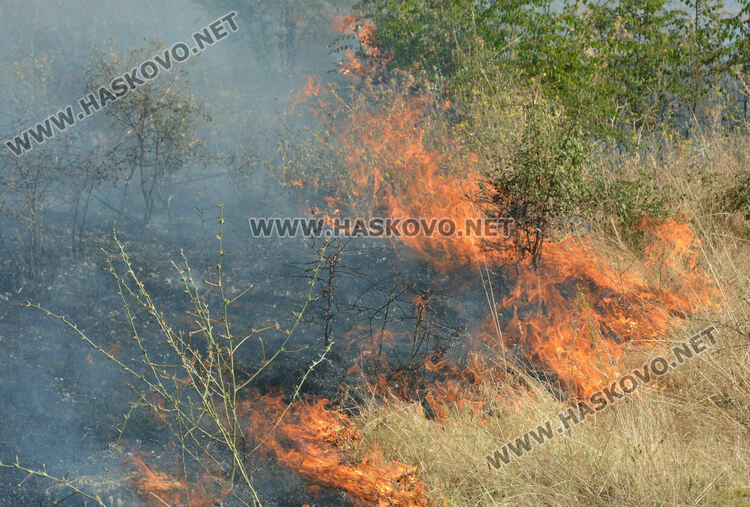 Голям пожар избухна край Сусам и Татарево, включиха се и пожарникари от Кърджалийско