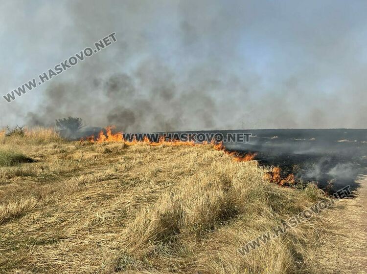 Голям пожар избухна край Сусам и Татарево, включиха се и пожарникари от Кърджалийско