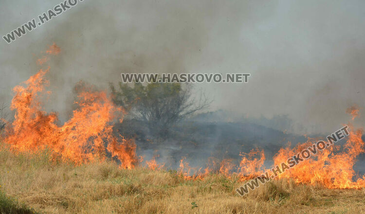 Голям пожар избухна край Сусам и Татарево, включиха се и пожарникари от Кърджалийско