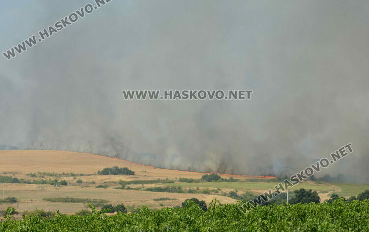 Голям пожар избухна край Сусам и Татарево, включиха се и пожарникари от Кърджалийско