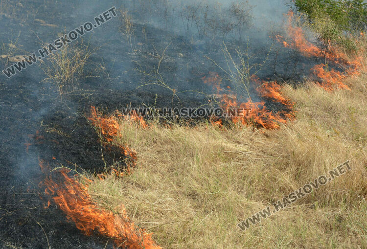 Голям пожар избухна край Сусам и Татарево, включиха се и пожарникари от Кърджалийско