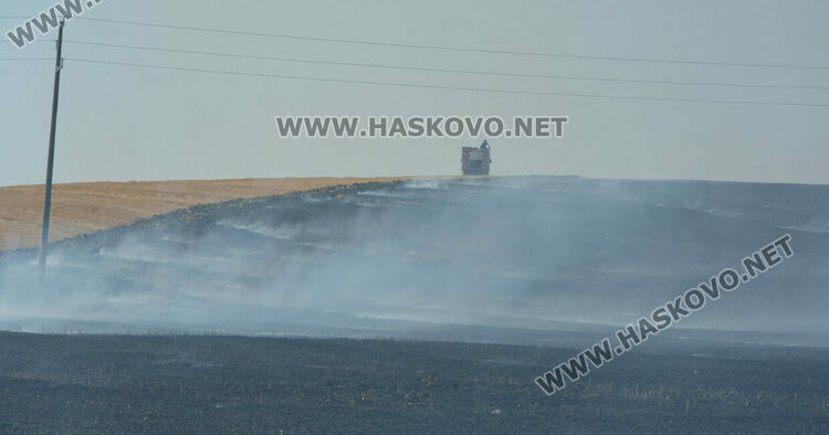 Голям пожар избухна край Сусам и Татарево, включиха се и пожарникари от Кърджалийско