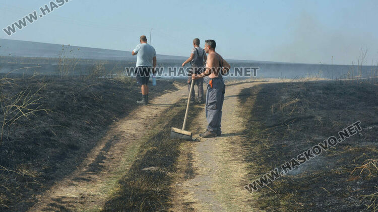 Голям пожар избухна край Сусам и Татарево, включиха се и пожарникари от Кърджалийско