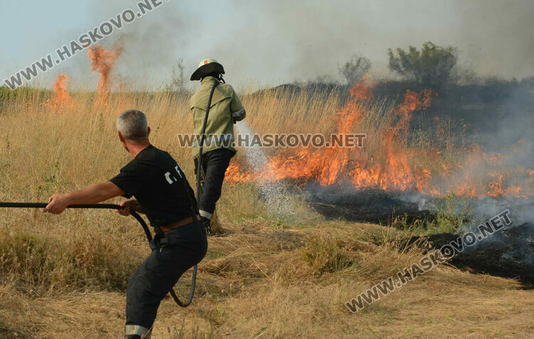 Голям пожар избухна край Сусам и Татарево, включиха се и пожарникари от Кърджалийско