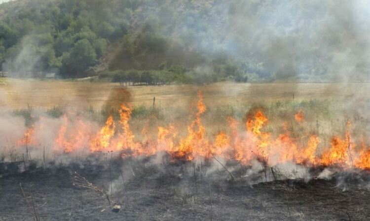 По-големите пожари в страната вече са овладени, но в Любимец и Дъбовец не са