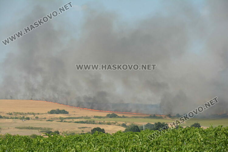 Пожарникари от шест области на огнищата в Хасковско