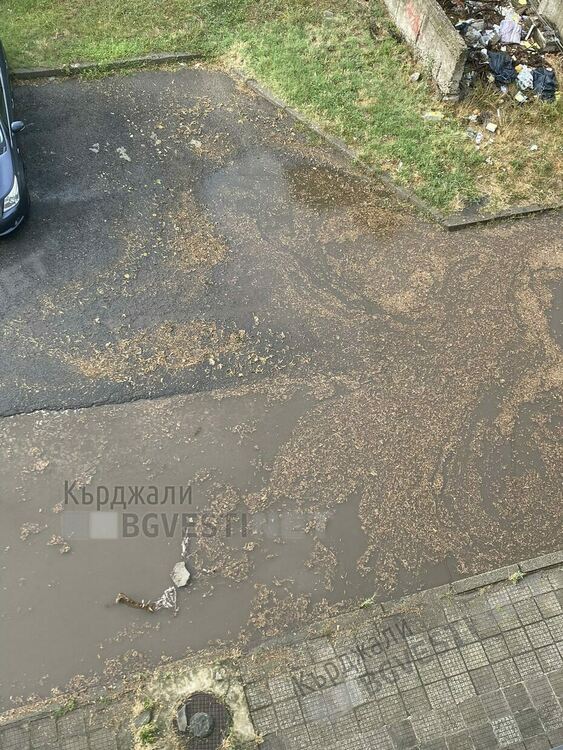 Язовир пред Язовирския блок в Кърджали, дъждовна вода пълни мазетата на живущите