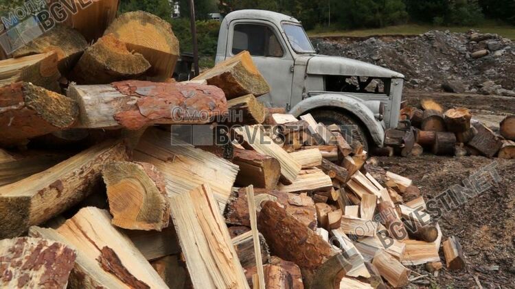  В Смолянско складовете на горските стопанства са пълни с дърва за огрев