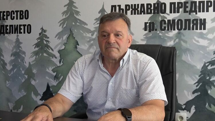  В Смолянско складовете на горските стопанства са пълни с дърва за огрев