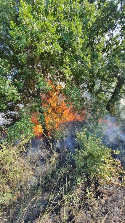 Пожарът в село Искра е локализиран, продължава доизгасяването му