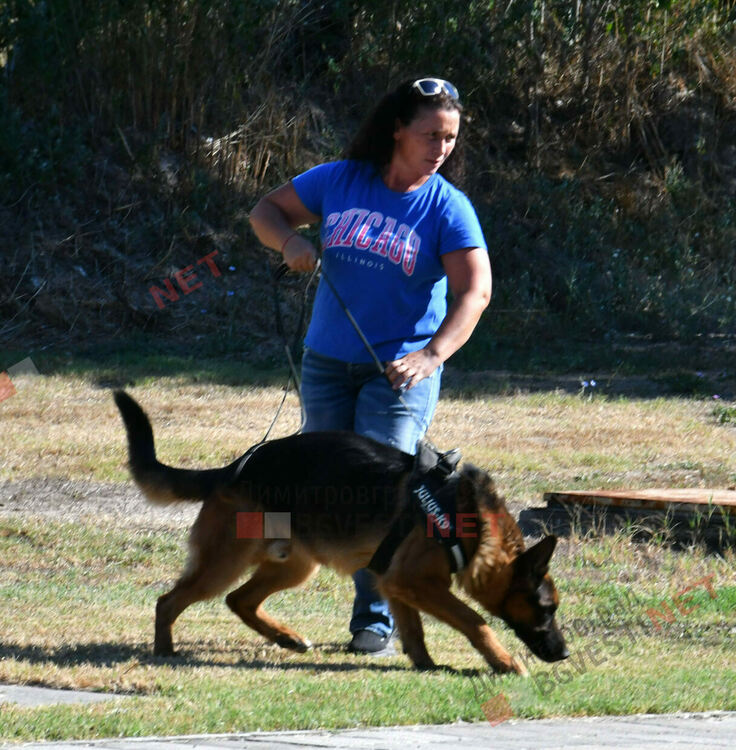 Участници от 15 града се включиха в семинар по послушание, защита и работа с германско овчарско куче провеждащ се в Димитровград