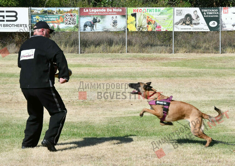 Участници от 15 града се включиха в семинар по послушание, защита и работа с германско овчарско куче провеждащ се в Димитровград