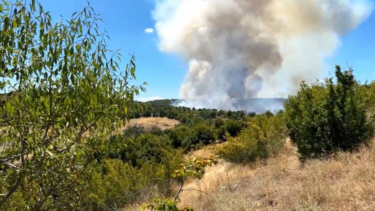 Пламна гора край с.Свирачи