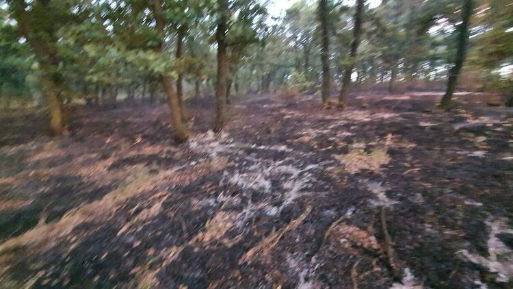 Пожарът в село Искра е локализиран, продължава доизгасяването му