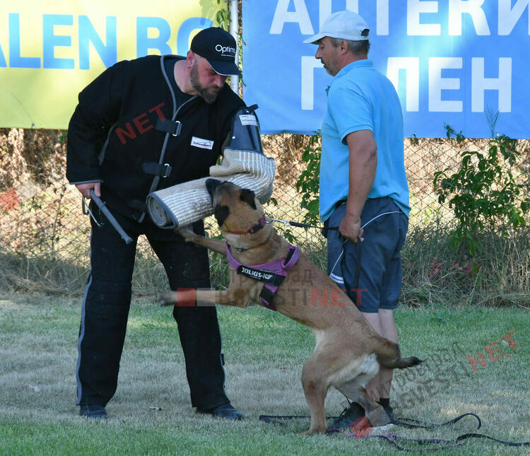 Участници от 15 града се включиха в семинар по послушание, защита и работа с германско овчарско куче провеждащ се в Димитровград