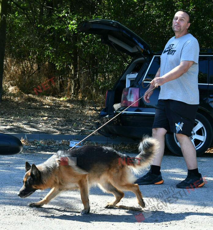 Участници от 15 града се включиха в семинар по послушание, защита и работа с германско овчарско куче провеждащ се в Димитровград