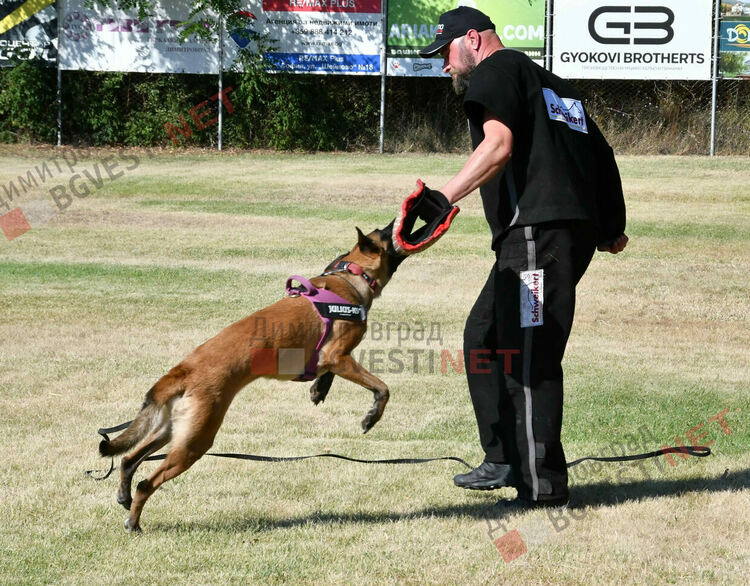 Участници от 15 града се включиха в семинар по послушание, защита и работа с германско овчарско куче провеждащ се в Димитровград