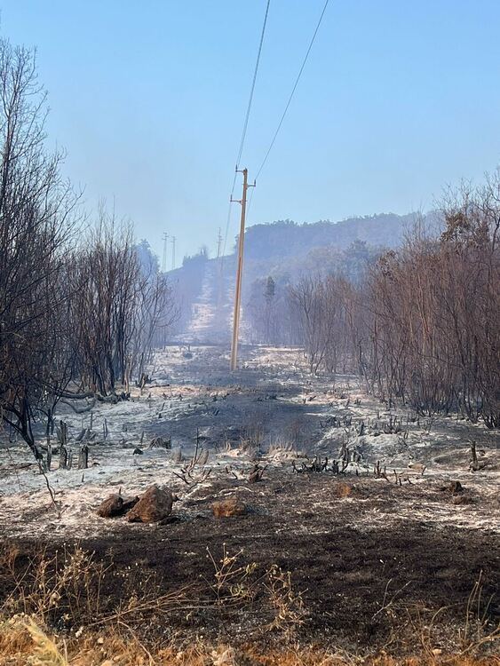 Част от огнения фронт в Ивайловградско е под контрол